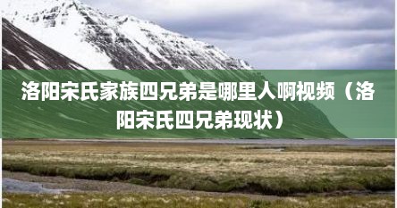 洛阳宋氏家族四兄弟是哪里人啊视频（洛阳宋氏四兄弟现状）