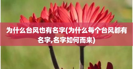 为什么台风也有名字(为什么每个台风都有名字,名字如何而来)