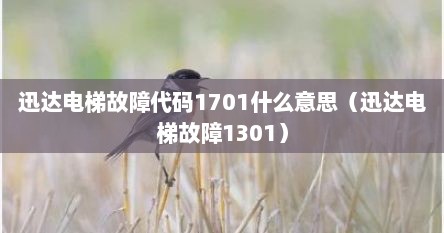 迅达电梯故障代码1701什么意思(迅达电梯故障1301) 迅达电梯故障代码1701什么意思(迅达电梯故障1301)
