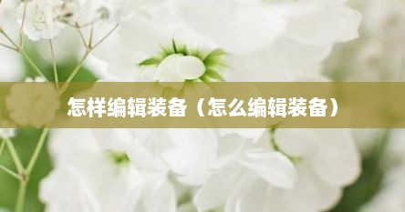 怎样编辑装备（怎么编辑装备）