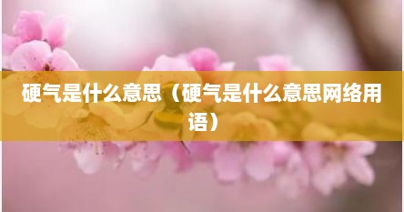 硬气是什么意思（硬气是什么意思网络用语）