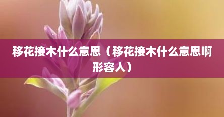 移花接木什么意思（移花接木什么意思啊形容人）