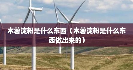 木薯淀粉是什么东西（木薯淀粉是什么东西做出来的）