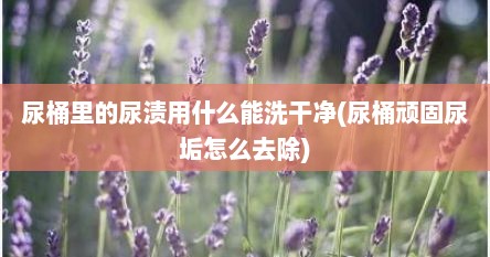 尿桶里的尿渍用什么能洗干净(尿桶顽固尿垢怎么去除)