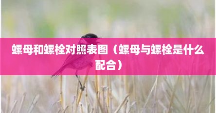 螺母和螺栓对照表图（螺母与螺栓是什么配合）