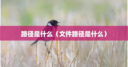 路径是什么（文件路径是什么）