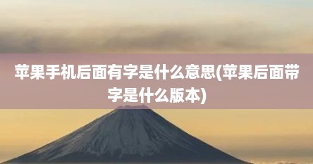 苹果手机后面有字是什么意思(苹果后面带字是什么版本)
