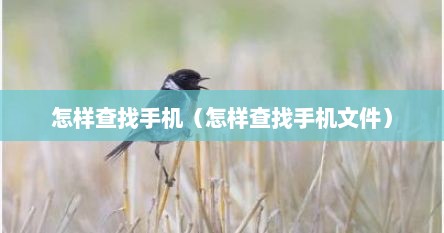 怎样查找手机（怎样查找手机文件）