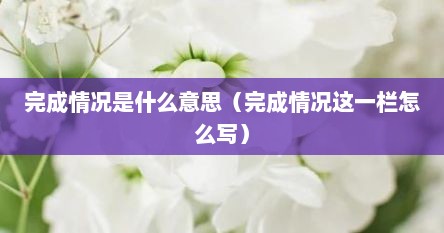完成情况是什么意思（完成情况这一栏怎么写）