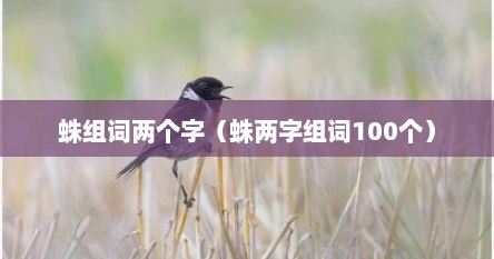 蛛组词两个字（蛛两字组词100个）