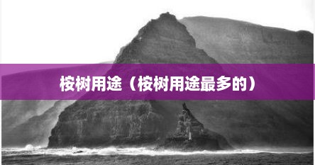 桉树用途（桉树用途最多的）