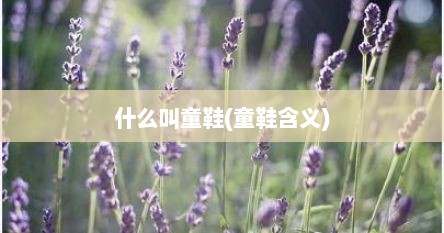什么叫童鞋(童鞋含义)