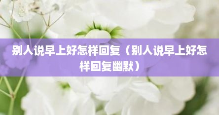 别人说早上好怎样回复（别人说早上好怎样回复幽默）
