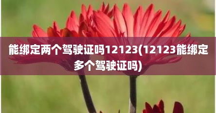能绑定两个驾驶证吗12123(12123能绑定多个驾驶证吗)