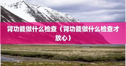 肾功能做什么检查（肾功能做什么检查才放心）