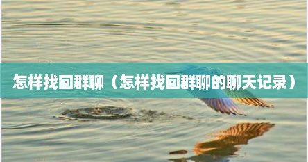 怎样找回群聊（怎样找回群聊的聊天记录）