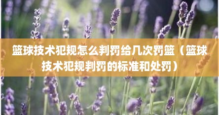 篮球技术犯规怎么判罚给几次罚篮（篮球技术犯规判罚的标准和处罚）