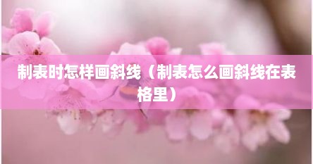 制表时怎样画斜线（制表怎么画斜线在表格里）