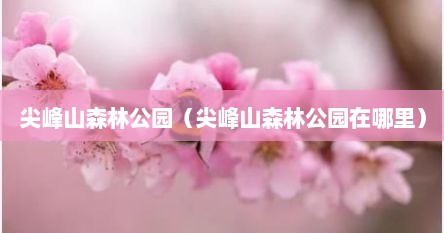 尖峰山森林公园（尖峰山森林公园在哪里）