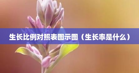 生长比例对照表图示图（生长率是什么）