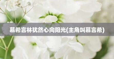 慕希言林犹然心向阳光(主角叫慕言希)