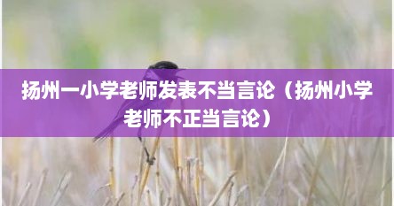 扬州一小学老师发表不档言论（扬州小学老师不正档言论）