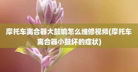 摩托车离合器大鼓响怎么维修视频(摩托车离合器小鼓坏的症状)