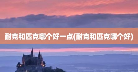 耐克和匹克哪个好一点(耐克和匹克哪个好)