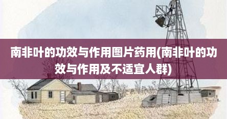 南非叶的功效与作用图片药用(南非叶的功效与作用及不适宜人群)