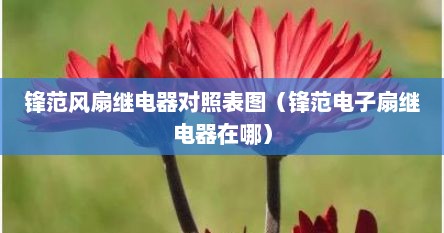 锋范风扇继电器对照表图（锋范电子扇继电器在哪）