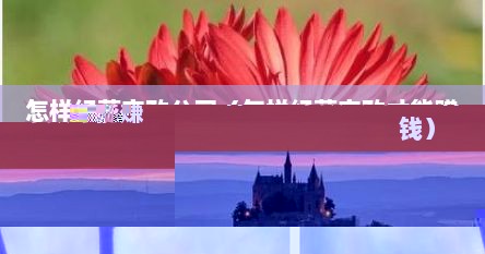 怎样经营家政公司（怎样经营家政才能赚钱）