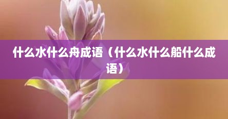 什么水什么舟成语（什么水什么船什么成语）