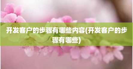 开发客户的步骤有哪些内容(开发客户的步骤有哪些)