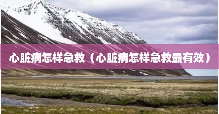 心脏病怎样急救（心脏病怎样急救最有效）