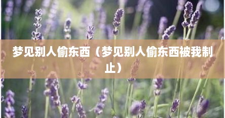 梦见别人偷东西（梦见别人偷东西被我制止）