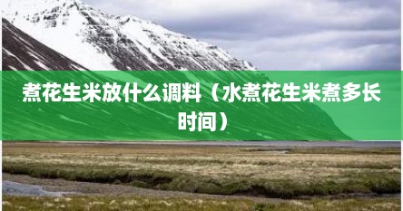 煮花生米放什么调料（水煮花生米煮多长时间）
