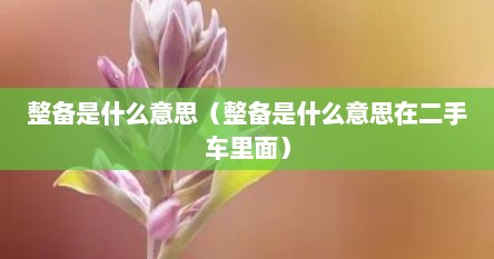整备是什么意思（整备是什么意思在二手车里面）