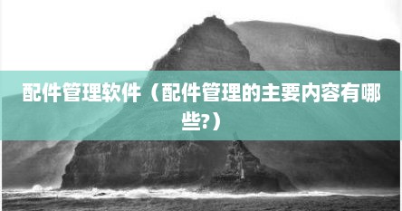 配件管理软件（配件管理的主要内容有哪些?）