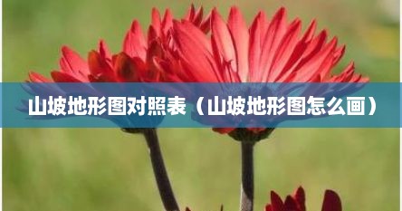 山坡地形图对照表（山坡地形图怎么画）