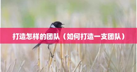 打造怎样的团队（如何打造一支团队）