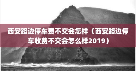 西安路边停车费不交会怎样（西安路边停车收费不交会怎么样2019）