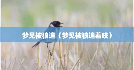 梦见被狼追着咬是怎么回事（梦到被狼追咬预示什么）