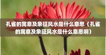 孔雀的寓意及象征风水是什么意思（孔雀的寓意及象征风水是什么意思啊）