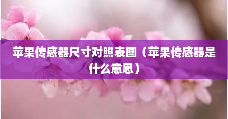 苹果传感器尺寸对比（苹果传感器原装和非原装的区别）
