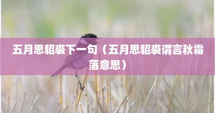 五月思貂裘下一句（五月思貂裘谓言秋霜落意思）