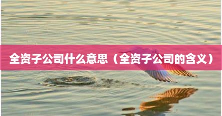 全资子公司什么意思（全资子公司的含义）