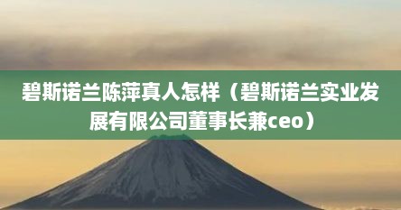 碧斯诺兰陈萍真人怎样（碧斯诺兰实业发展有限公司董事长兼ceo）