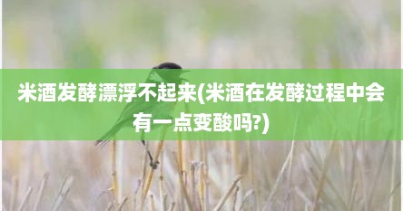 米酒发酵漂浮不起来(米酒在发酵过程中会有一点变酸吗?)