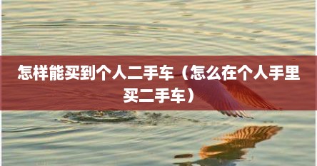 怎样能买到个人二手车（怎么在个人手里买二手车）