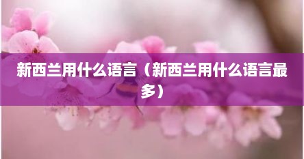 新西兰用什么语言（新西兰用什么语言最多）